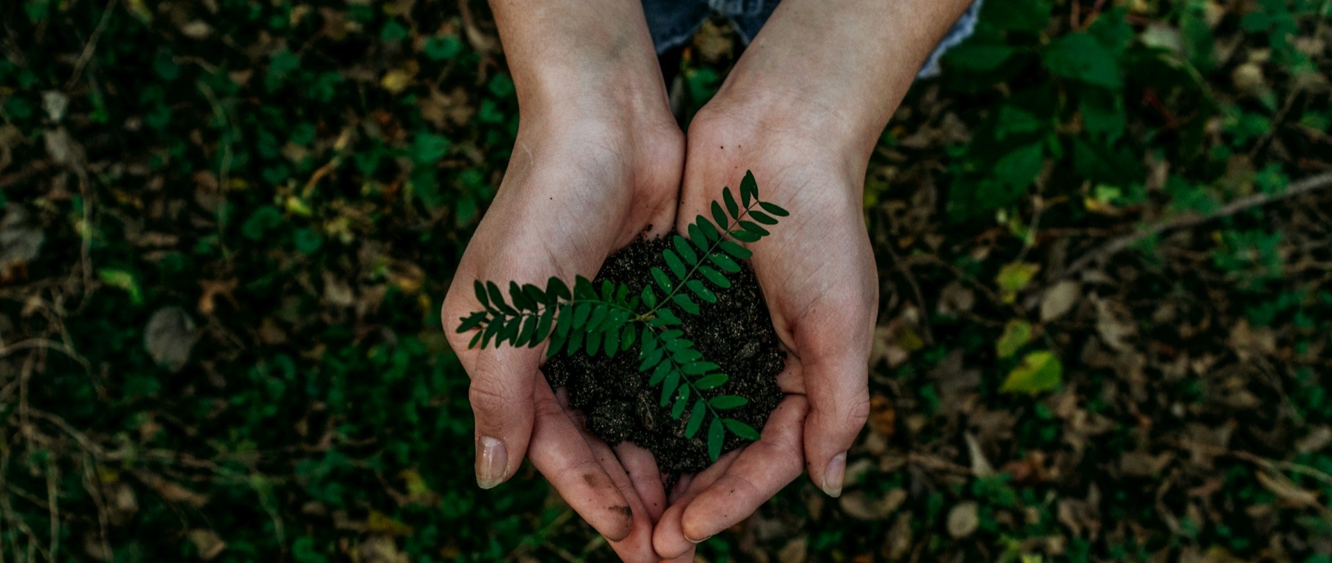 India’s First ESG Lab Launched to Foster Innovation and Future-Ready Skills